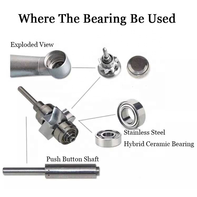 dental bearing